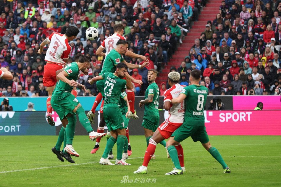 的阵容增加 的阵容增加