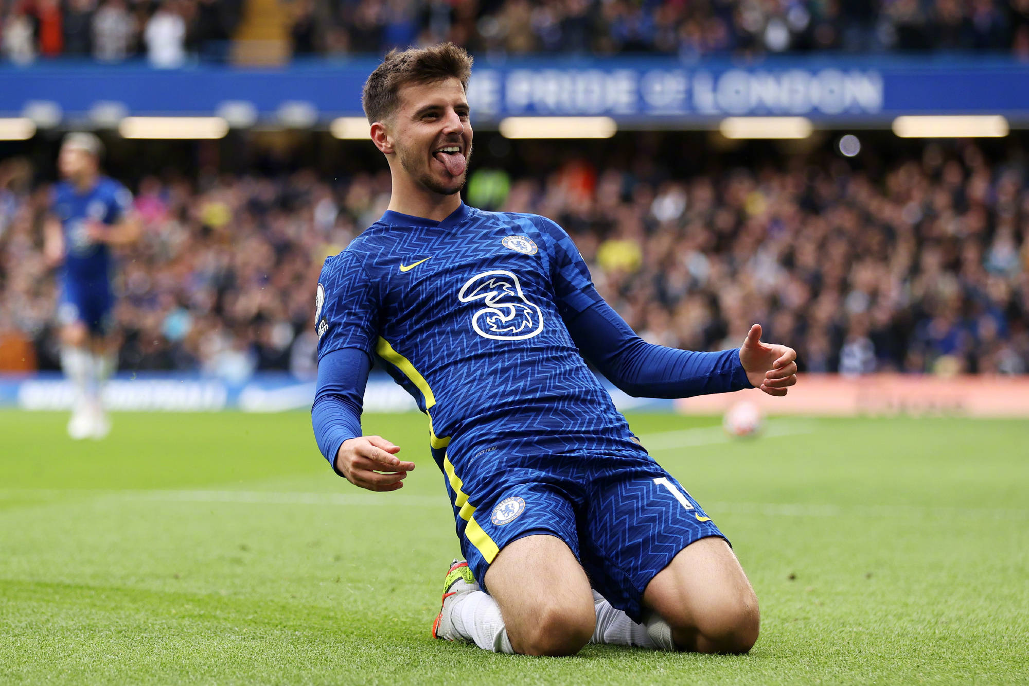 游泳世界杯 游泳世界杯